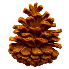 Silikónová formička šiška