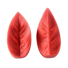 Forma do liści gardenii