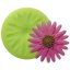Forma silikonowa – Gerbera II