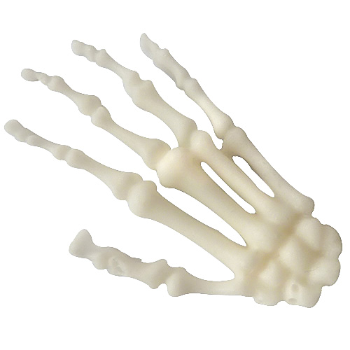 Forma silikonowa – Dłoń szkieletu