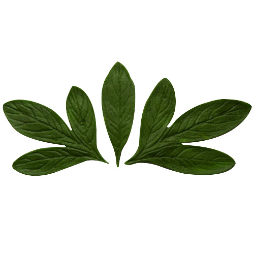 Forma silikonowa – Listki III (zestaw 3 wzorów)