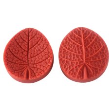 Forma do liści Anturia