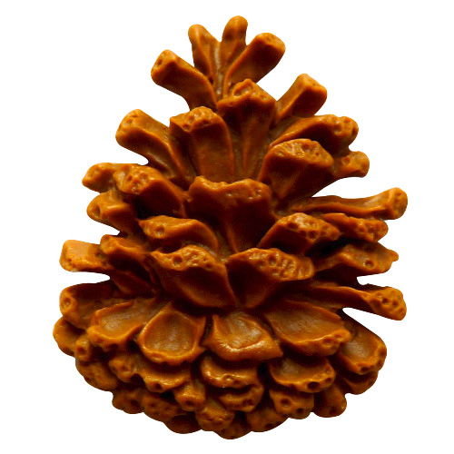 Forma silikonowa szyszka