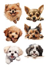 Papier jadalny - Małe rasy psów i szczeniaki
