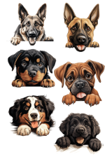 Wydruk jadalny - Wierni obrońcy