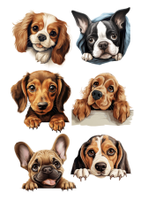 Wydruk jadalny - Psie spojrzenia