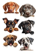 Papier jadalny - Psi przyjaciele zaglądający